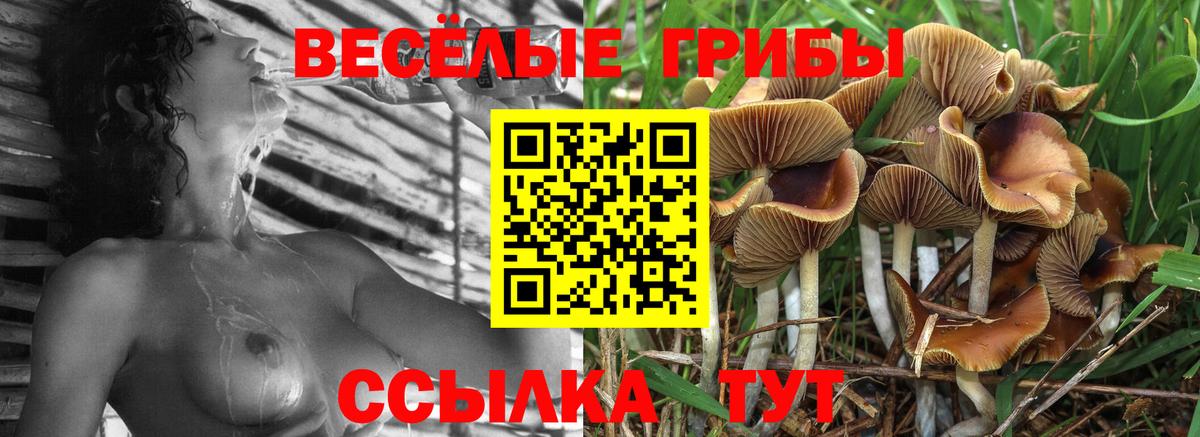 Видное  Галлюциногенные грибы мухоморы  Вход с VPN 