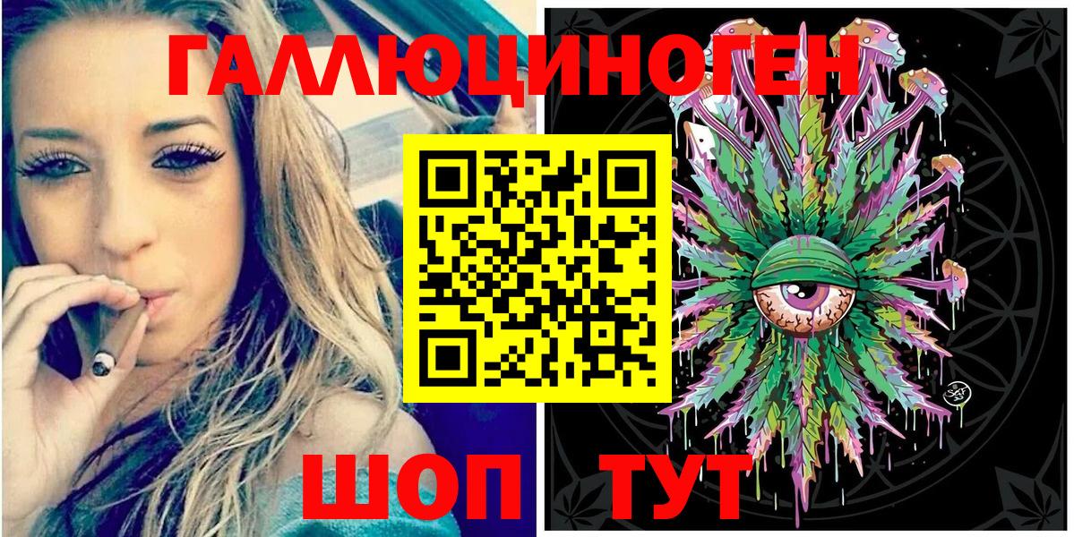 Псилоцибиновые грибы Psilocybe Видное